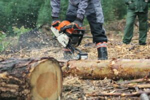 Республиканский семинар «Защита в лесу заготовленной древесины в соответствии с требованиями законодательства»