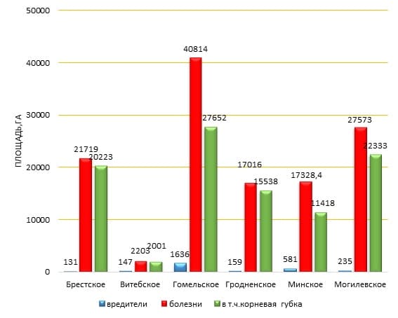 Общая характеристика лесопатологической ситуации в лесном фонде Республики Беларусь