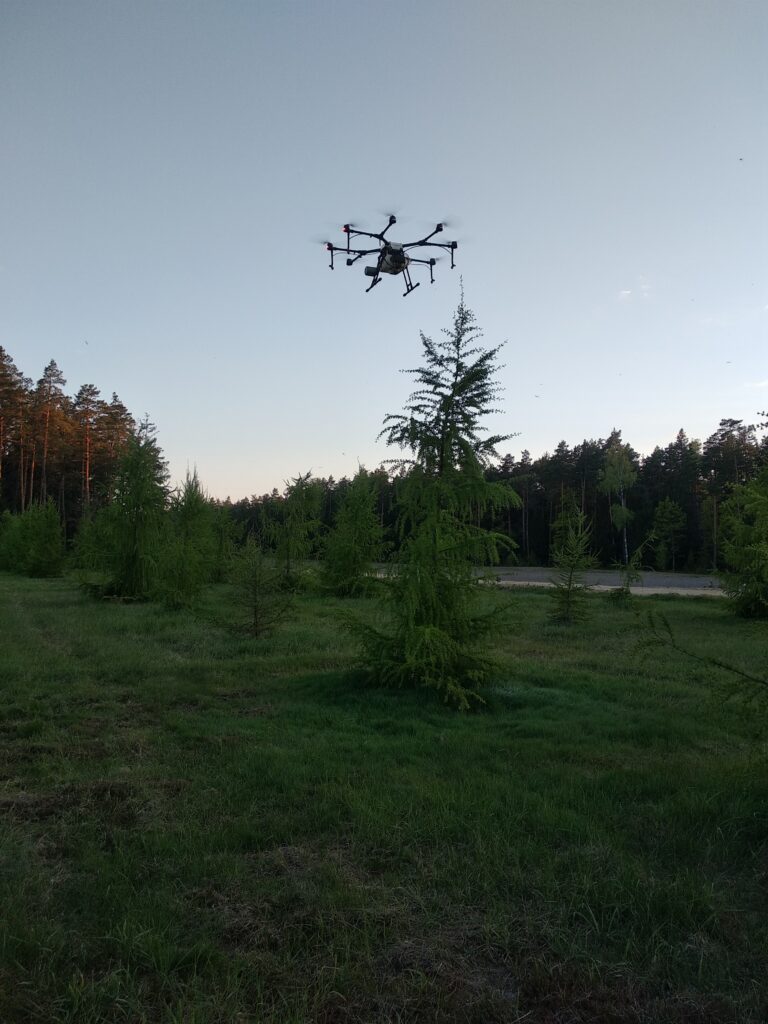«Битва» за урожай лесных семян на объектах постоянной лесосеменной базы