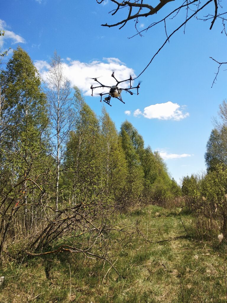Регистрационные испытания отечественного биопрепарата БАКТОЦИД стартовали в Ивацевичском лесхозе