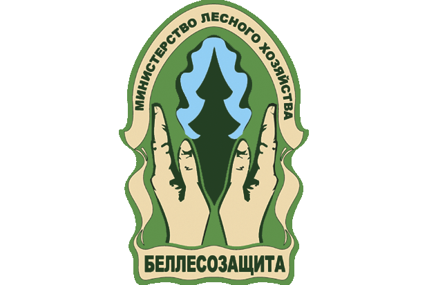 Участие в онлайн-семинаре