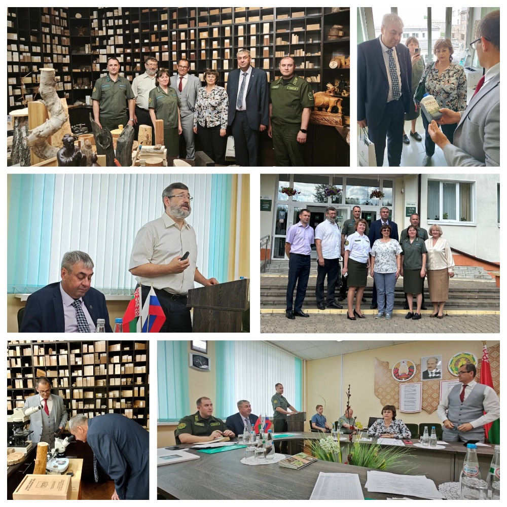 Второй день белорусско-российского семинара