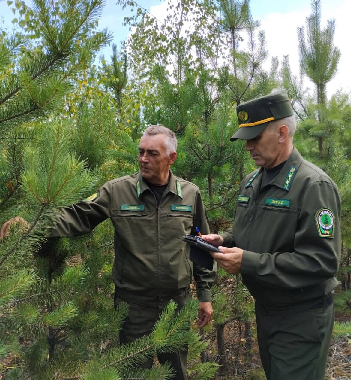 Изучение опыта