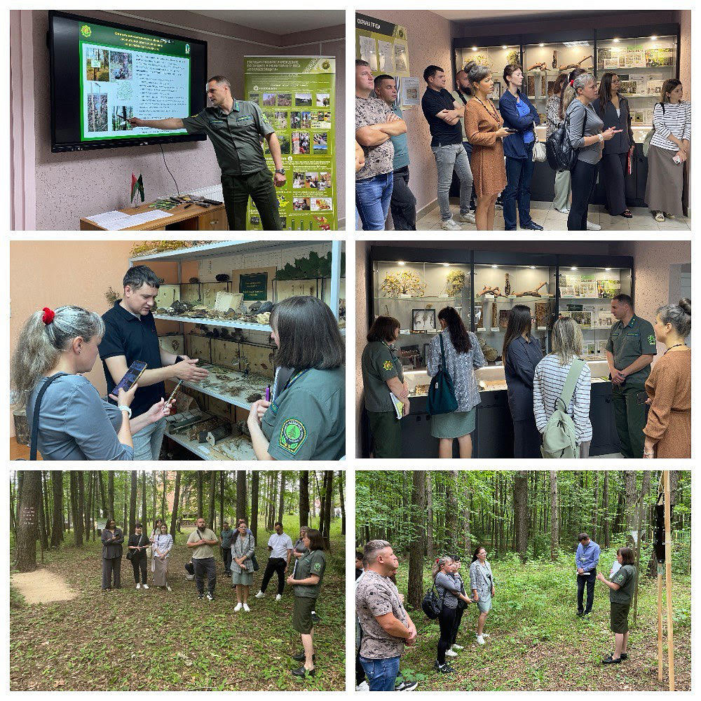 Ознакомление с деятельностью учреждения