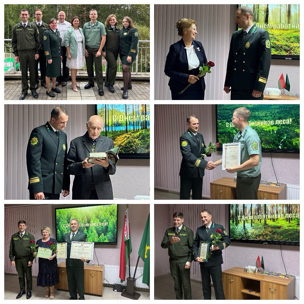 Торжественное мероприятие, посвященное Дню работников леса
