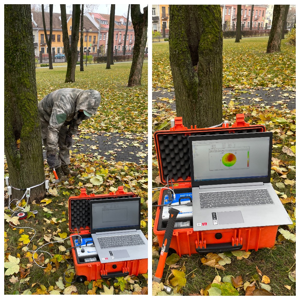 Обследование деревьев импульсным томографом АРБОТОМ