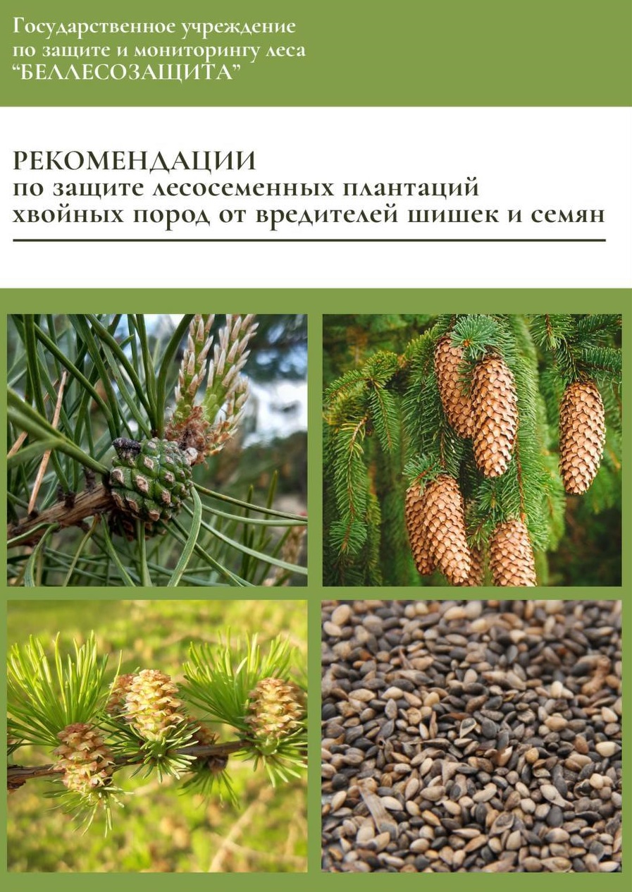 Разработан и утвержден методический документ