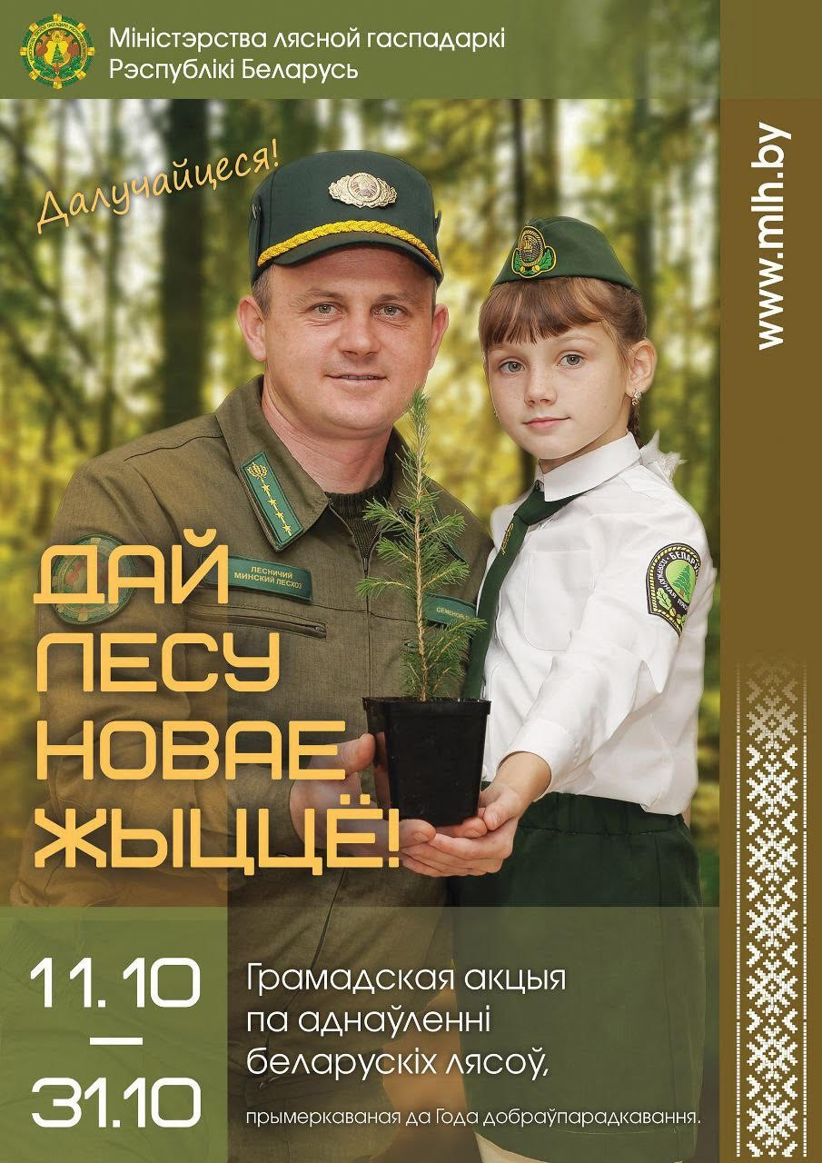 В Беларуси пройдет акция «Дай лесу новае жыццё!»