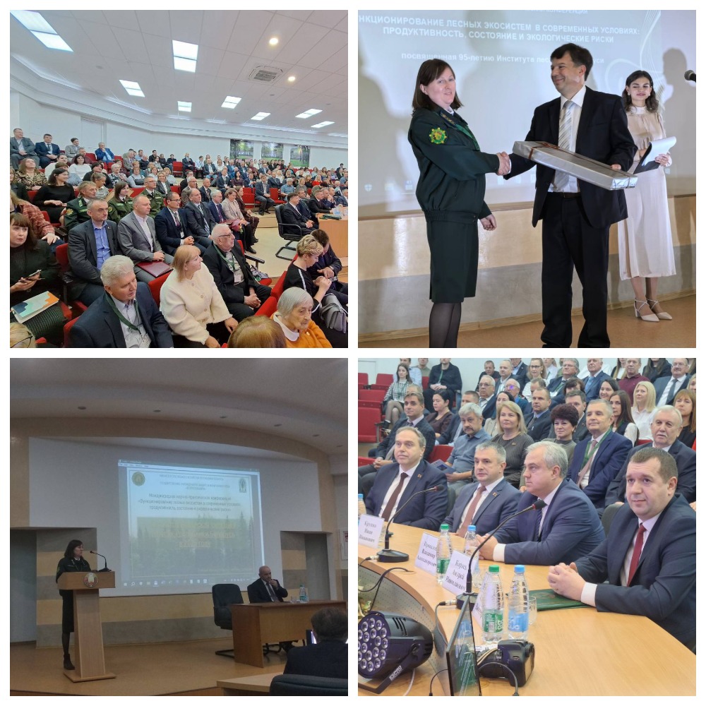 95 лет Институту леса НАН Беларуси