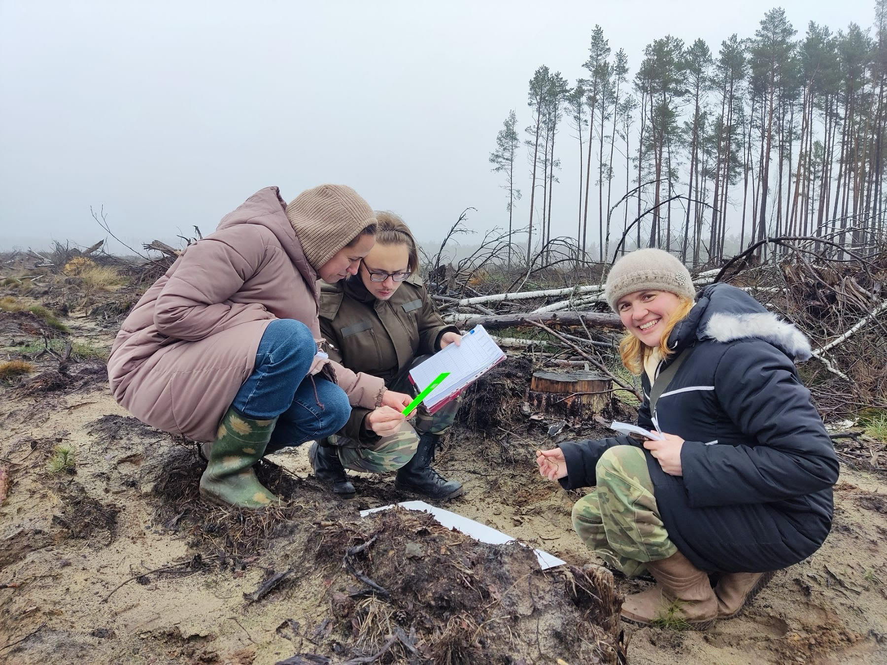 Проведение работ в рамках НИР