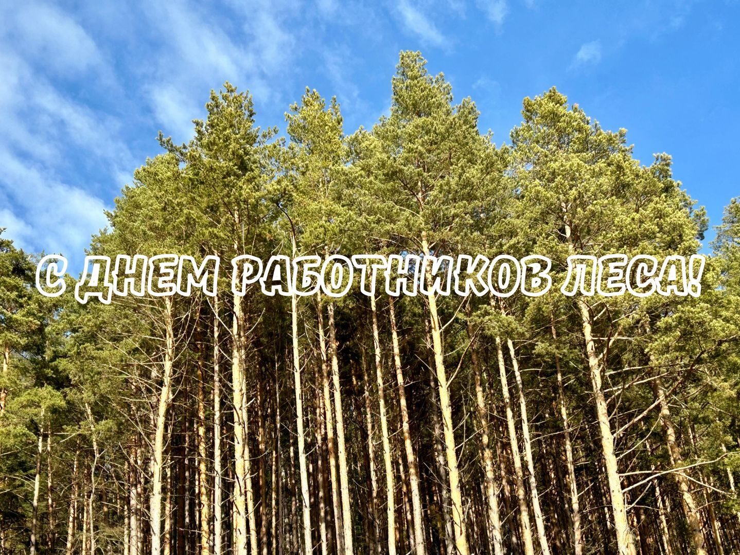поз