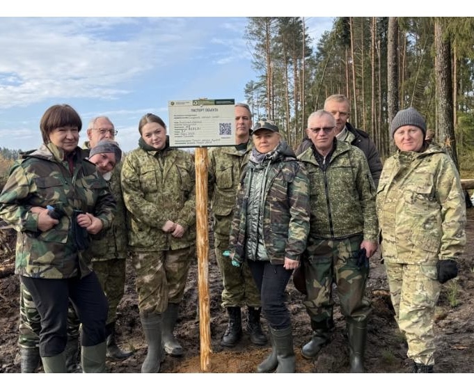 Участие в республиканской акции "Дай лесу новае жыццё!"